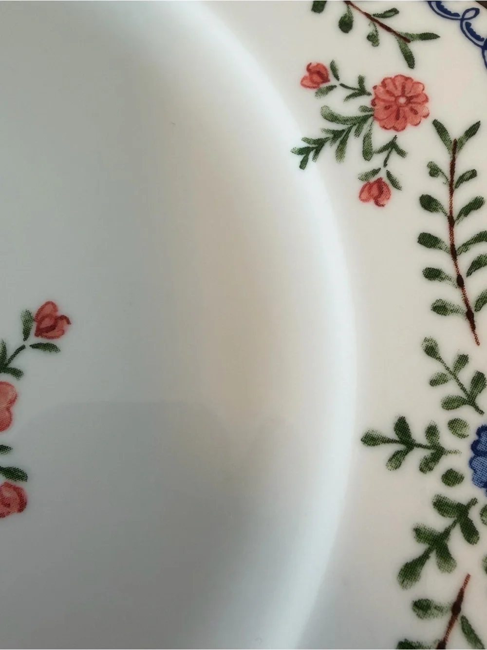 Set of 4 Cottage Floral Salad Plates Red Blue Flower 8.5